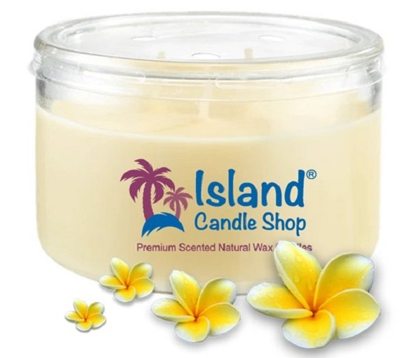 PLUMERIA - 808 Splash ~ Body & Skin Care
